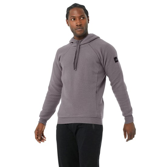 Hoodie Alo Yoga The Triumph Hombre Morados | 9756FRNXC